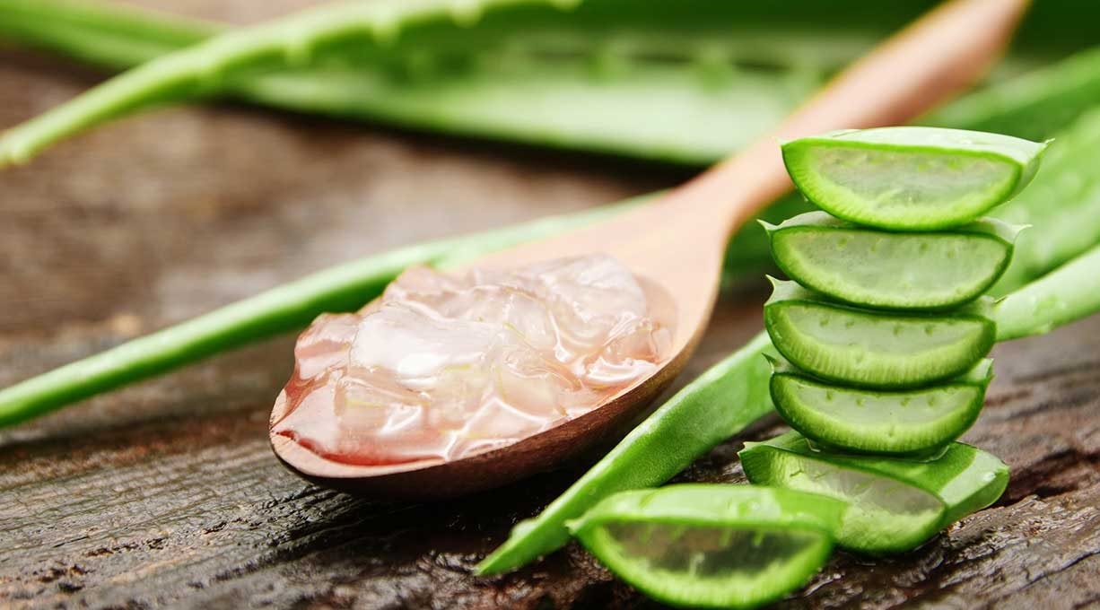 Aloe Vera Leaf