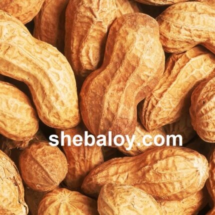 চীনা বাদাম